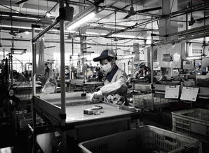 電子廠為何青睞文化較低者？背后真相與文化經(jīng)紀(jì)人的新興服務(wù)